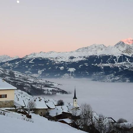 Studio Cosy Vallee De Tarentaise La Plagne Zewnętrze zdjęcie